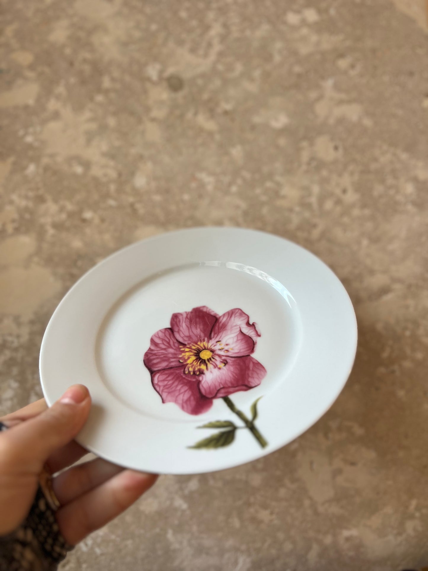 Assiettes à dessert vintage en porcelaine fleur rose