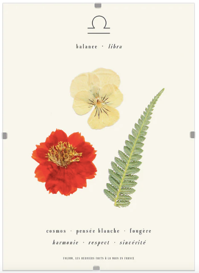 Herbier astro