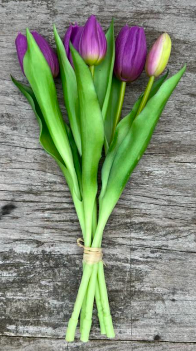 Botte de tulipes