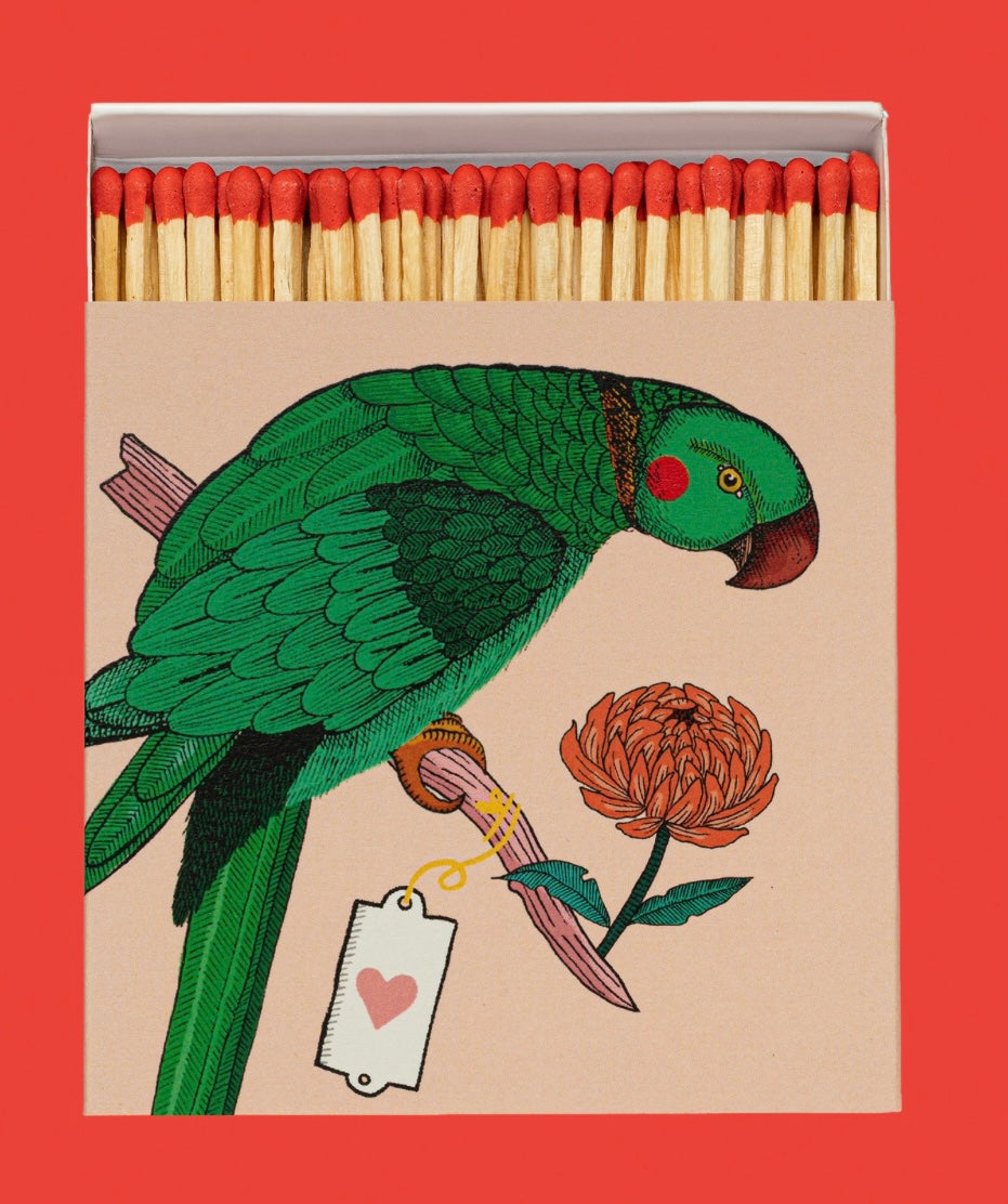 Boîte d’allumettes parrot matches