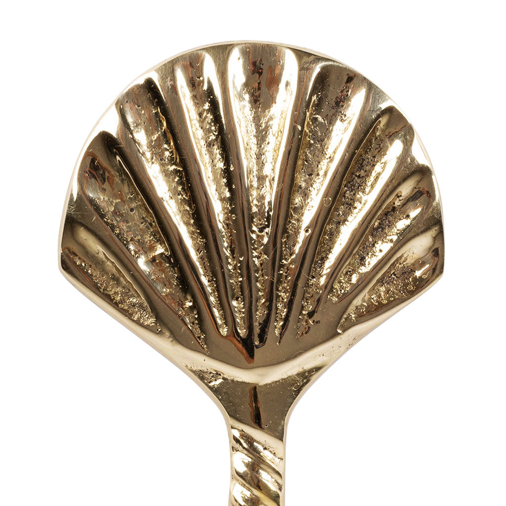 Décapsuleur St Jacques