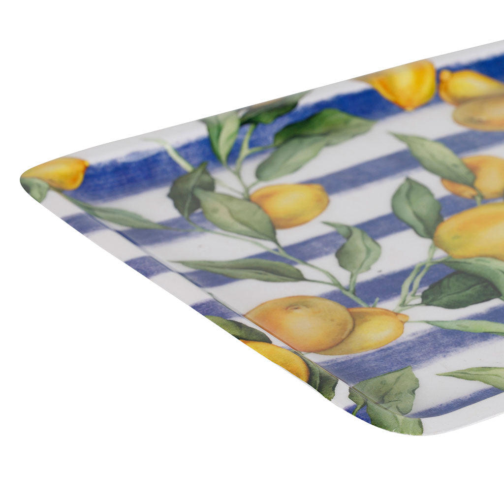PLATEAU SOLENCIA BLEU+JAUNE 30X20CM FER