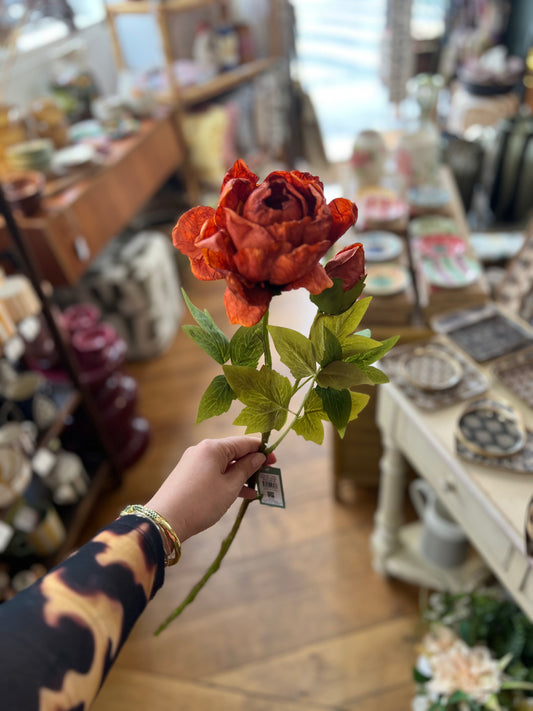 Pivoine Orange