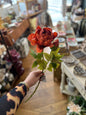 Pivoine Orange