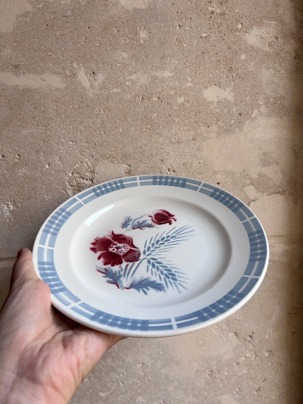 Assiettes plates vintage Terre de fer