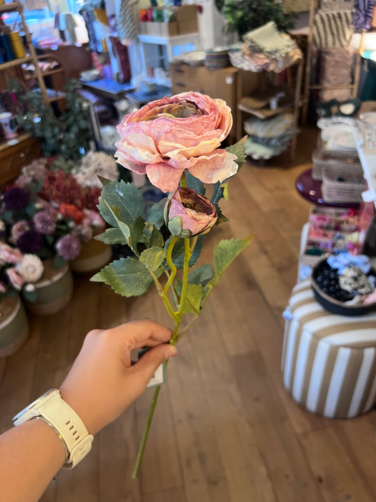 Renoncule rose