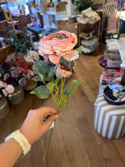 Renoncule rose