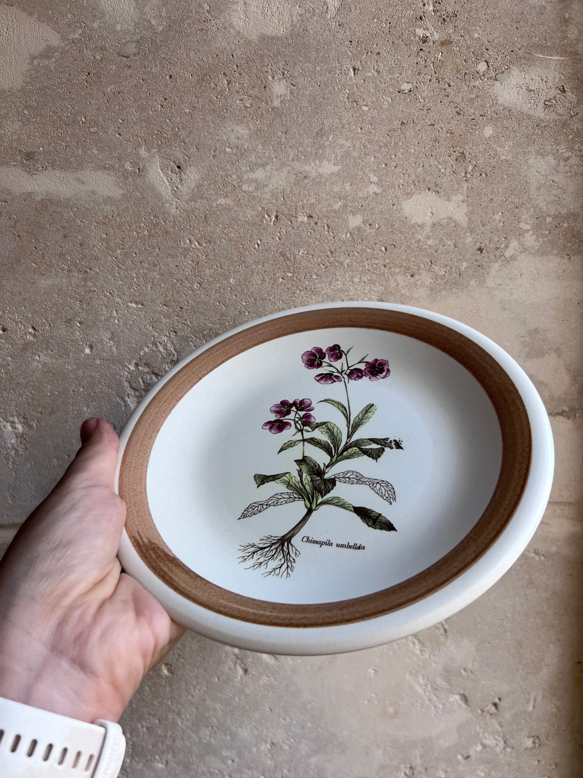 Assiettes dessert vintage italiennes