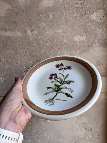 Assiettes dessert vintage italiennes