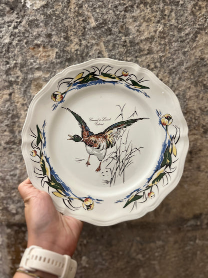 Assiettes plates vintage Sologne - Colvert