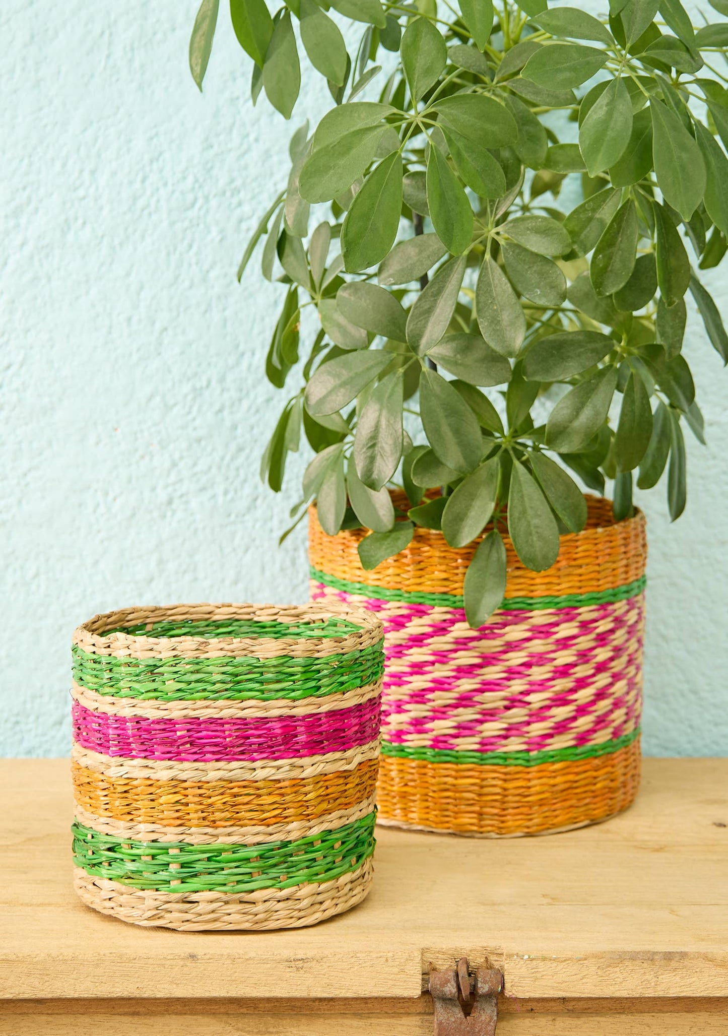 Paniers - jardinières en jonc de mer à motifs