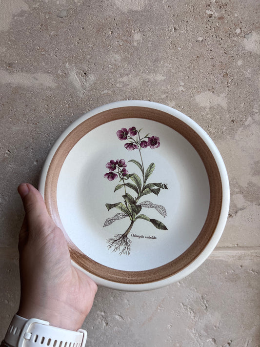 Assiettes dessert vintage italiennes