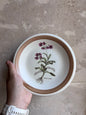 Assiettes dessert vintage italiennes