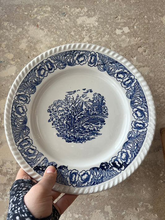 Assiettes semi-creuses vintage