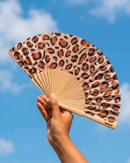 Éventails illustration