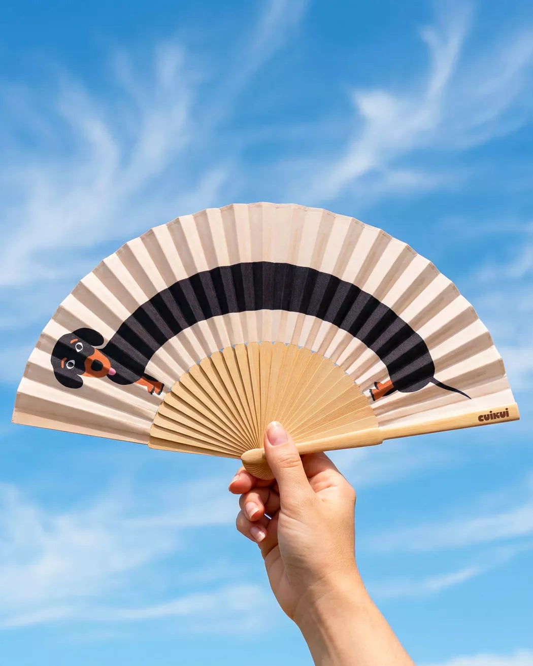 Éventails illustration