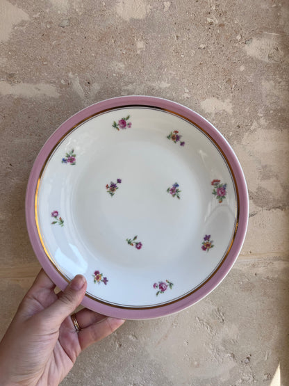 Assiettes vintage porcelaine
