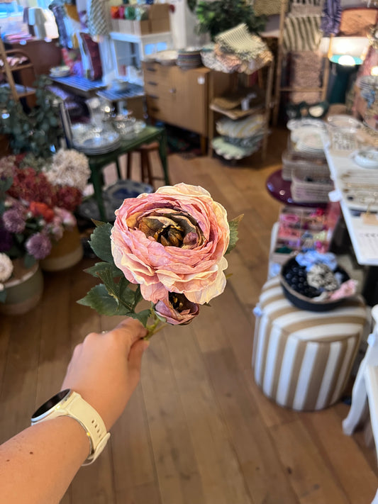 Renoncule rose