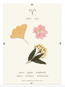 Herbier astro