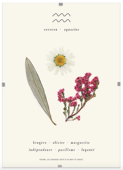 Herbier astro