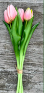 Botte de tulipes