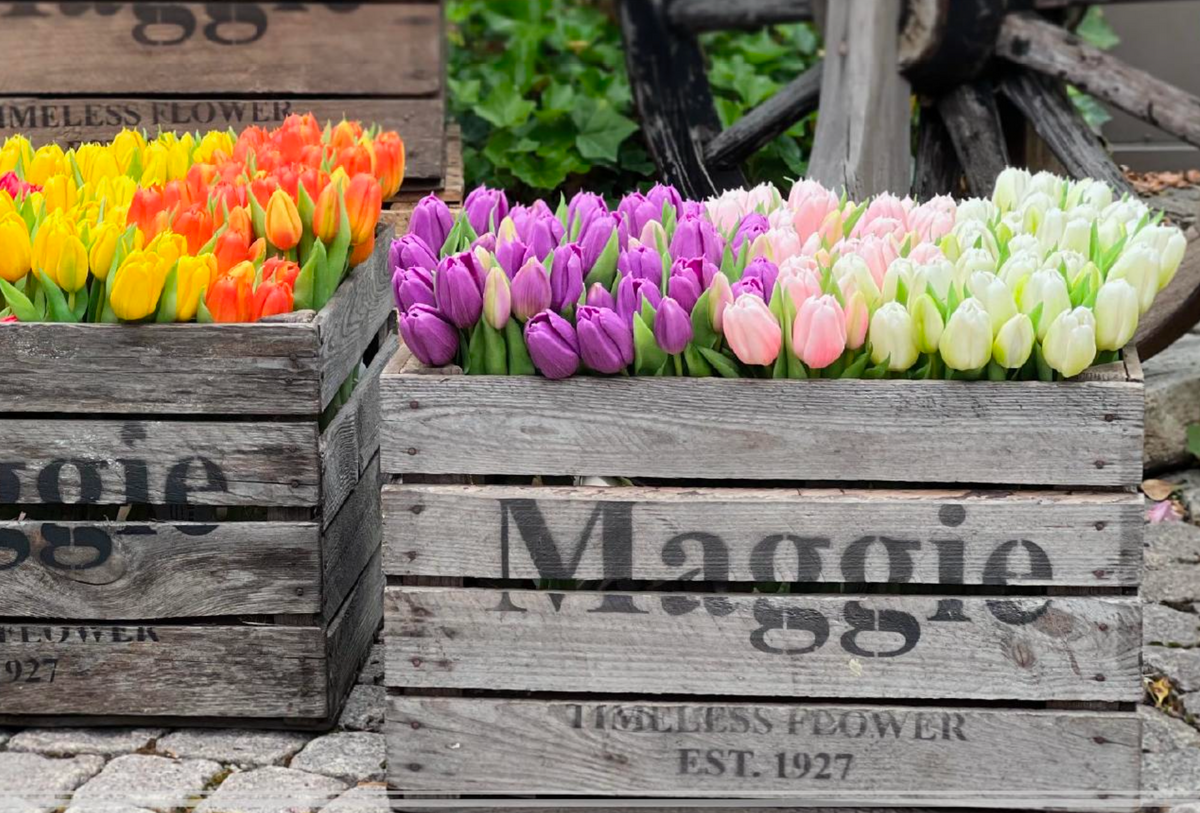 Botte de tulipes