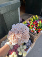 Bouquets pivoine hortensia en tissus