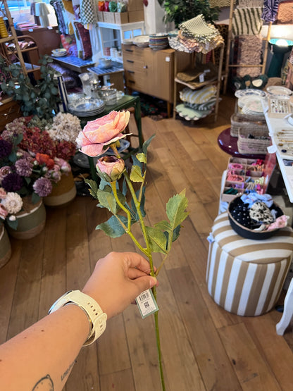 Renoncule rose