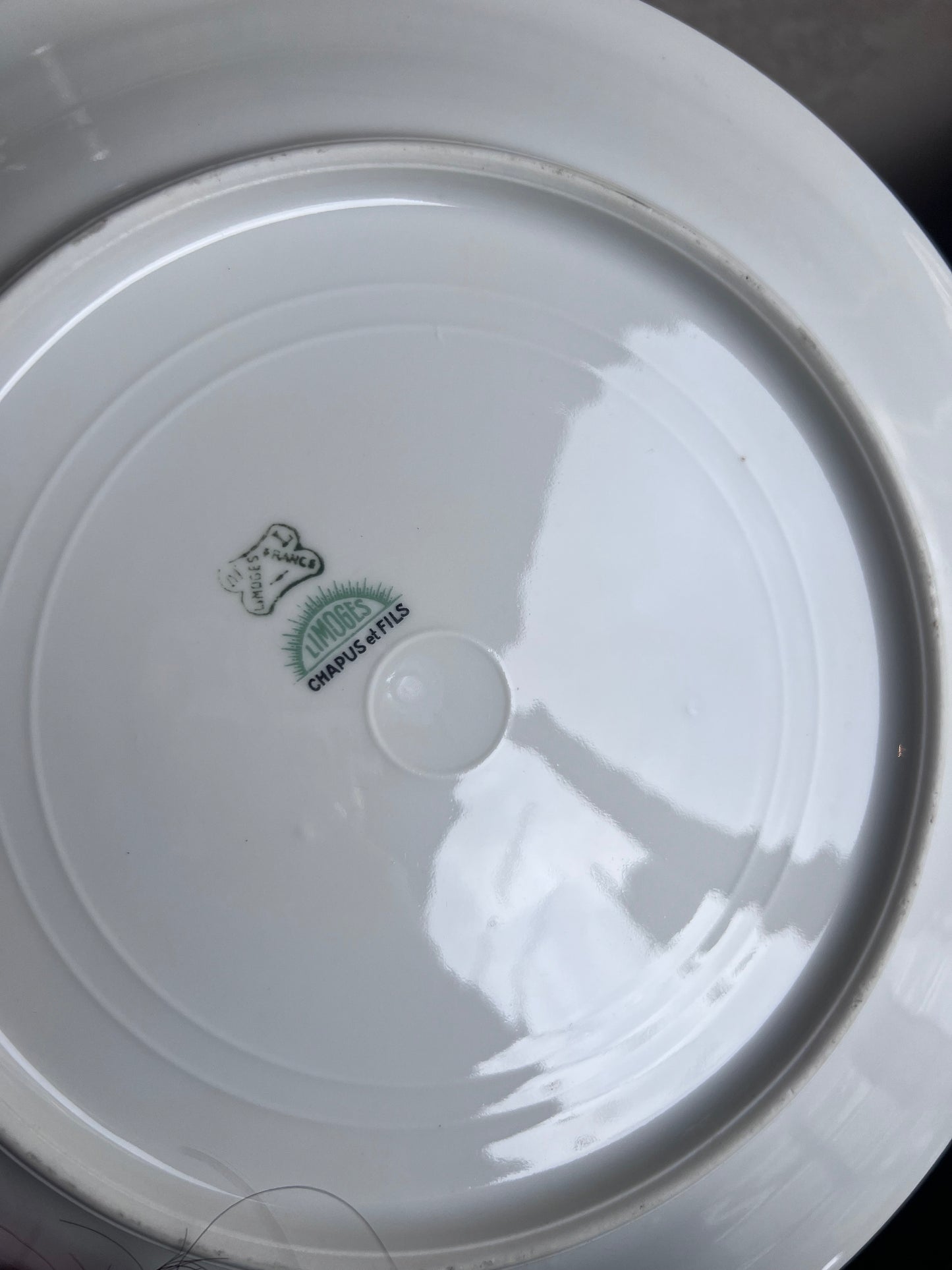 Assiettes vintage fleuries