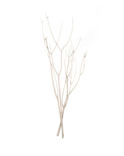 Branche de mitsumata 3 branches blanc naturel H90cm