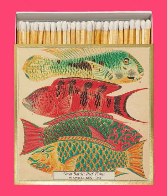 Boîtes d’allumettes fiches matches