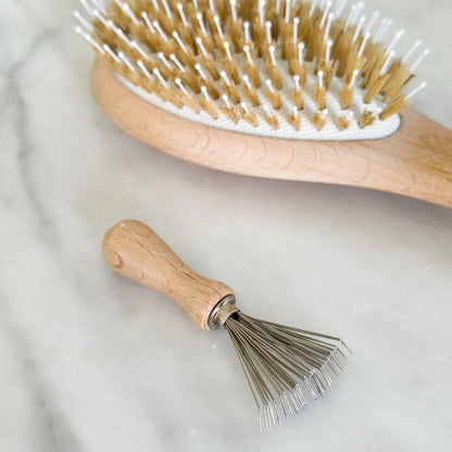 Peigne nettoyant pour brosse