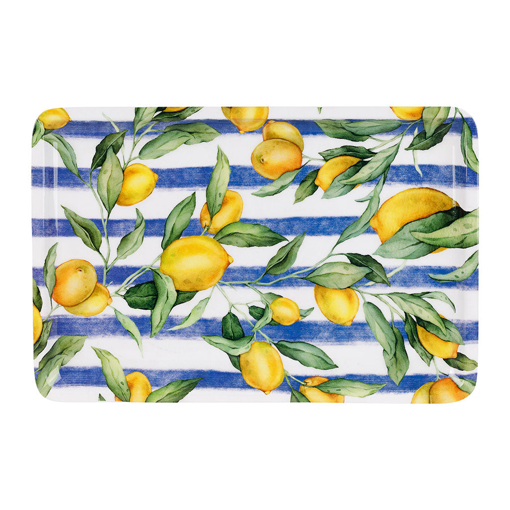 PLATEAU SOLENCIA BLEU+JAUNE 30X20CM FER